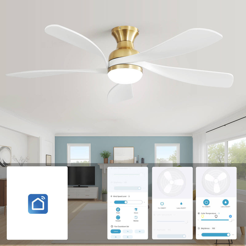 Sofucor 5 Blades 52'' Low Profile Flushmount Smart Ceiling Fan With Light Remote