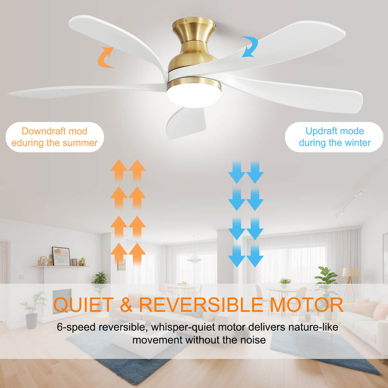 Sofucor 5 Blades 52'' Low Profile Flushmount Smart Ceiling Fan With Light Remote