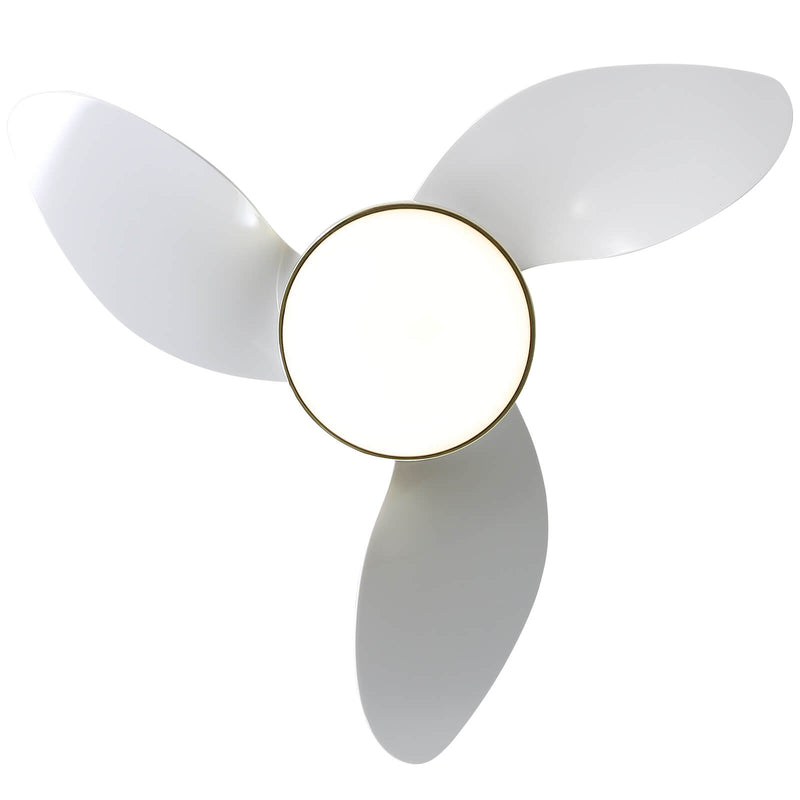 Sofucor 22 Inch Low Profile Flushmount Ceiling Fan With Light Remote