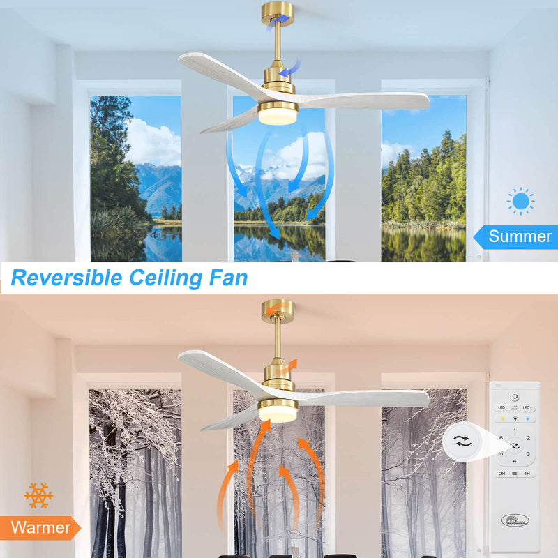 Sofucor KBS-5247-BG 3-Blades 52‘’ Ceiling Fan With Light Remote Control DC Motor